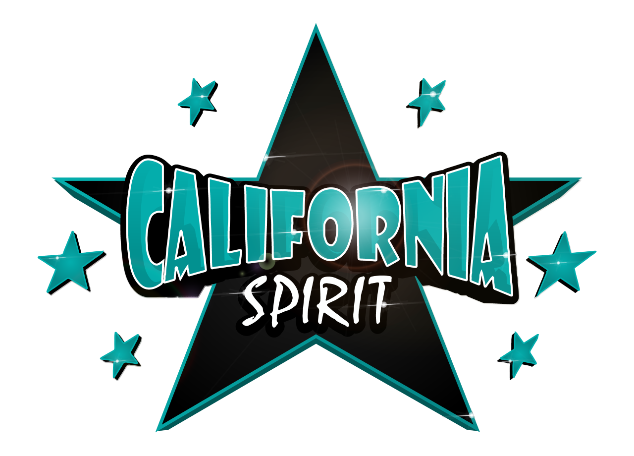 California Spirit Elite-Dublin ProShop > GK Black Sparkle Sports Bra